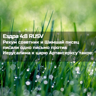Picture 02 - Ездра 4:8 RUSV - Рехум советник и Шимшай - Bible Verse Picture