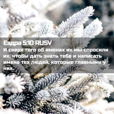 Picture 02 - Ездра 5:10 RUSV - И сверх того об именах их - Bible Verse Picture