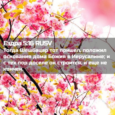 Picture 02 - Ездра 5:16 RUSV - Тогда Шешбацар тот пришел, - Bible Verse Picture
