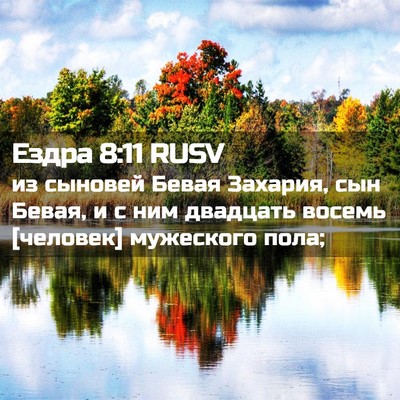 Picture 02 - Ездра 8:11 RUSV - из сыновей Бевая Захария, - Bible Verse Picture