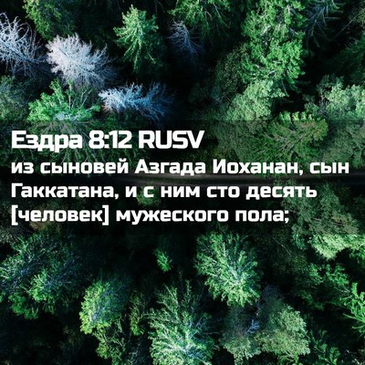 Picture 02 - Ездра 8:12 RUSV - из сыновей Азгада Иоханан, - Bible Verse Picture