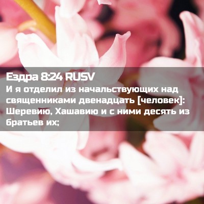 Picture 02 - Ездра 8:24 RUSV - И я отделил из - Bible Verse Picture