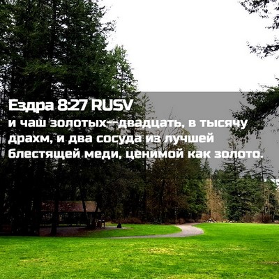 Picture 02 - Ездра 8:27 RUSV - и чаш золотых--двадцать, в - Bible Verse Picture