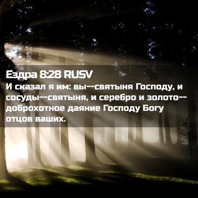 Picture 02 - Ездра 8:28 RUSV - И сказал я им: вы--святыня - Bible Verse Picture