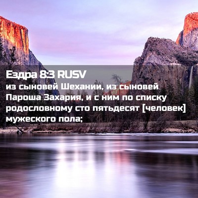Picture 02 - Ездра 8:3 RUSV - из сыновей Шехании, из - Bible Verse Picture