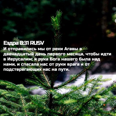 Picture 02 - Ездра 8:31 RUSV - И отправились мы от реки - Bible Verse Picture