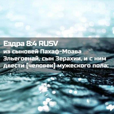 Picture 02 - Ездра 8:4 RUSV - из сыновей Пахаф-Моава - Bible Verse Picture