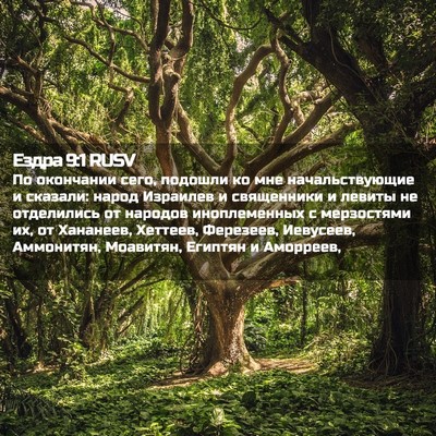 Picture 02 - Ездра 9:1 RUSV - По окончании сего, подошли - Bible Verse Picture