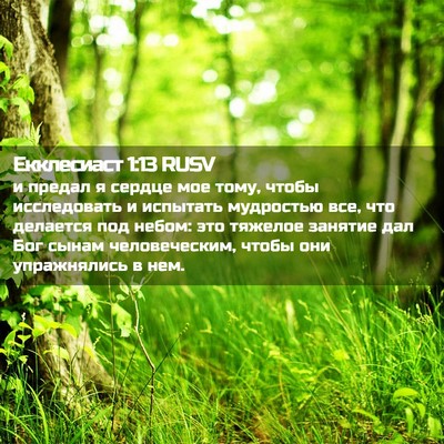 Picture 02 - Екклесиаст 1:13 RUSV - и предал я сердце мое тому, - Bible Verse Picture
