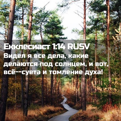 Picture 02 - Екклесиаст 1:14 RUSV - Видел я все дела, какие - Bible Verse Picture