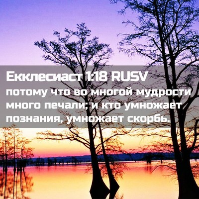 Picture 02 - Екклесиаст 1:18 RUSV - потому что во многой - Bible Verse Picture