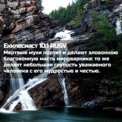 Picture 02 - Екклесиаст 10:1 RUSV - Мертвые мухи портят и - Bible Verse Picture
