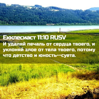 Picture 02 - Екклесиаст 11:10 RUSV - И удаляй печаль от сердца - Bible Verse Picture