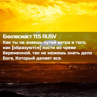 Picture 02 - Екклесиаст 11:5 RUSV - Как ты не знаешь путей - Bible Verse Picture