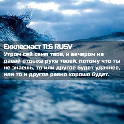 Picture 02 - Екклесиаст 11:6 RUSV - Утром сей семя твое, и - Bible Verse Picture