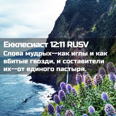 Picture 02 - Екклесиаст 12:11 RUSV - Слова мудрых--как иглы и - Bible Verse Picture
