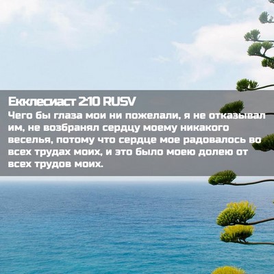 Picture 02 - Екклесиаст 2:10 RUSV - Чего бы глаза мои ни - Bible Verse Picture