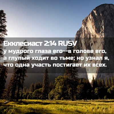 Picture 02 - Екклесиаст 2:14 RUSV - у мудрого глаза его--в - Bible Verse Picture