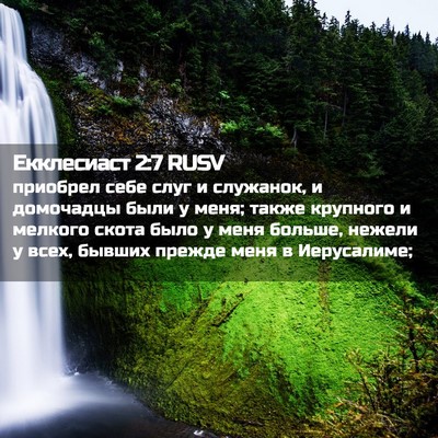 Picture 02 - Екклесиаст 2:7 RUSV - приобрел себе слуг и - Bible Verse Picture