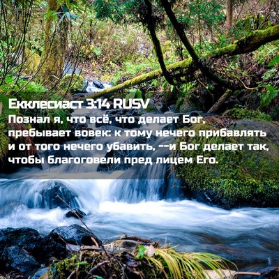 Picture 02 - Екклесиаст 3:14 RUSV - Познал я, что всё, что - Bible Verse Picture