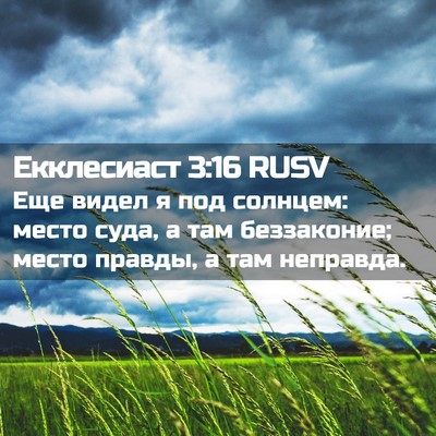 Picture 02 - Екклесиаст 3:16 RUSV - Еще видел я под солнцем: - Bible Verse Picture