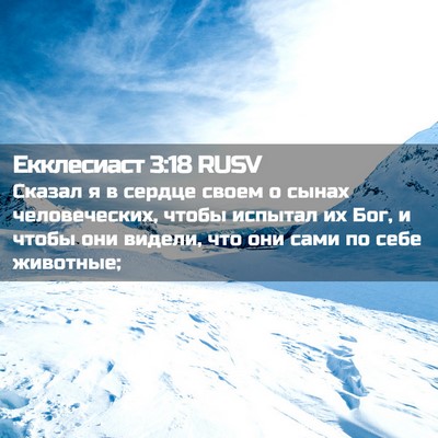 Picture 02 - Екклесиаст 3:18 RUSV - Сказал я в сердце своем о - Bible Verse Picture