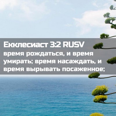 Picture 02 - Екклесиаст 3:2 RUSV - время рождаться, и время - Bible Verse Picture