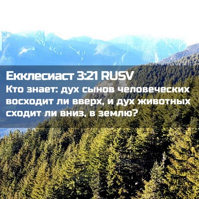 Picture 02 - Екклесиаст 3:21 RUSV - Кто знает: дух сынов - Bible Verse Picture