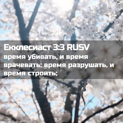 Picture 02 - Екклесиаст 3:3 RUSV - время убивать, и время - Bible Verse Picture