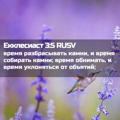 Picture 02 - Екклесиаст 3:5 RUSV - время разбрасывать камни, - Bible Verse Picture