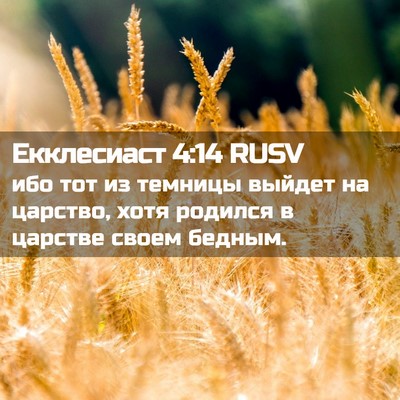 Picture 02 - Екклесиаст 4:14 RUSV - ибо тот из темницы выйдет - Bible Verse Picture