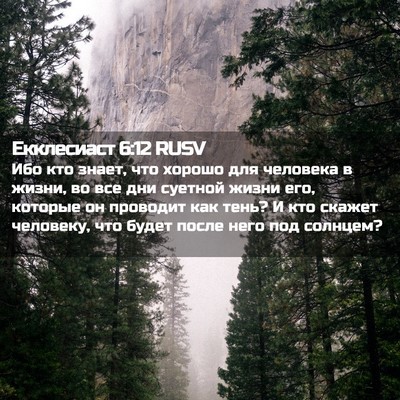 Picture 02 - Екклесиаст 6:12 RUSV - Ибо кто знает, что хорошо - Bible Verse Picture