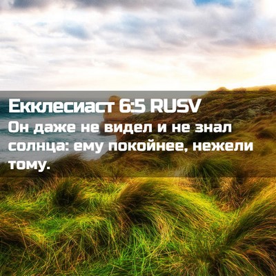 Picture 02 - Екклесиаст 6:5 RUSV - Он даже не видел и не знал - Bible Verse Picture