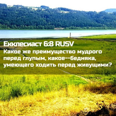 Picture 02 - Екклесиаст 6:8 RUSV - Какое же преимущество - Bible Verse Picture