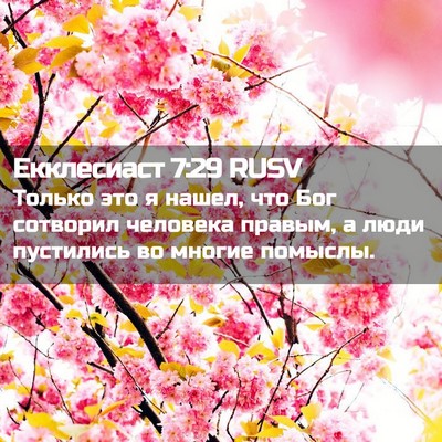 Picture 02 - Екклесиаст 7:29 RUSV - Только это я нашел, что Бог - Bible Verse Picture