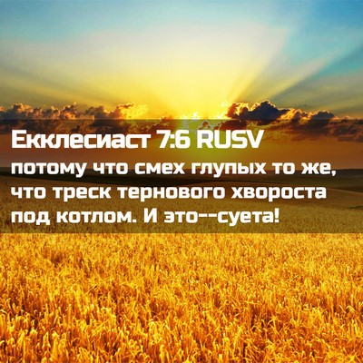 Picture 02 - Екклесиаст 7:6 RUSV - потому что смех глупых то - Bible Verse Picture