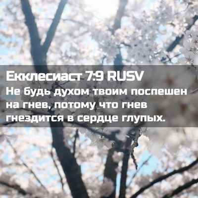 Picture 02 - Екклесиаст 7:9 RUSV - Не будь духом твоим - Bible Verse Picture