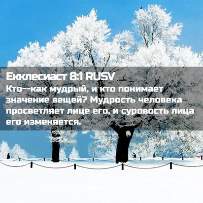 Picture 02 - Екклесиаст 8:1 RUSV - Кто--как мудрый, и кто - Bible Verse Picture