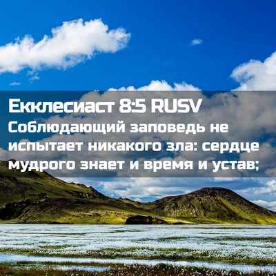Picture 02 - Екклесиаст 8:5 RUSV - Соблюдающий заповедь не - Bible Verse Picture