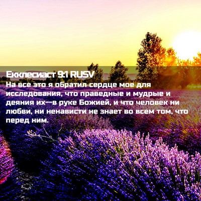 Picture 02 - Екклесиаст 9:1 RUSV - На все это я обратил сердце - Bible Verse Picture