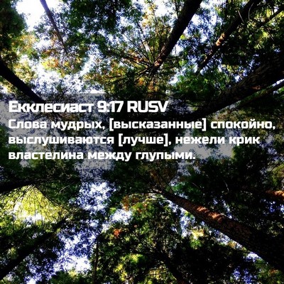 Picture 02 - Екклесиаст 9:17 RUSV - Слова мудрых, [высказанные] - Bible Verse Picture