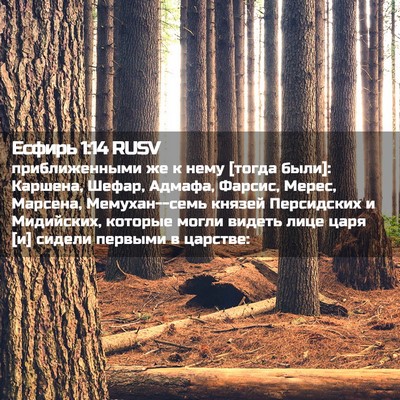Picture 02 - Есфирь 1:14 RUSV - приближенными же к нему - Bible Verse Picture