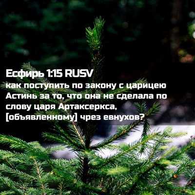 Picture 02 - Есфирь 1:15 RUSV - как поступить по закону с - Bible Verse Picture