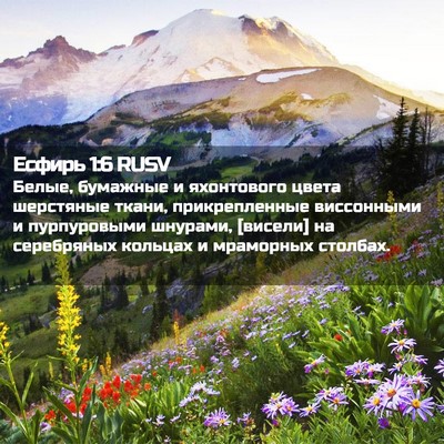 Picture 02 - Есфирь 1:6 RUSV - Белые, бумажные и - Bible Verse Picture