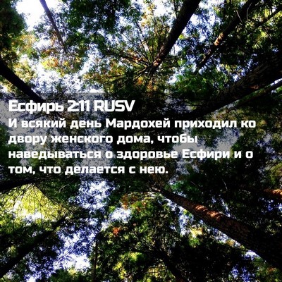 Picture 02 - Есфирь 2:11 RUSV - И всякий день Мардохей - Bible Verse Picture