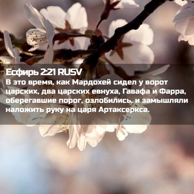 Picture 02 - Есфирь 2:21 RUSV - В это время, как Мардохей - Bible Verse Picture