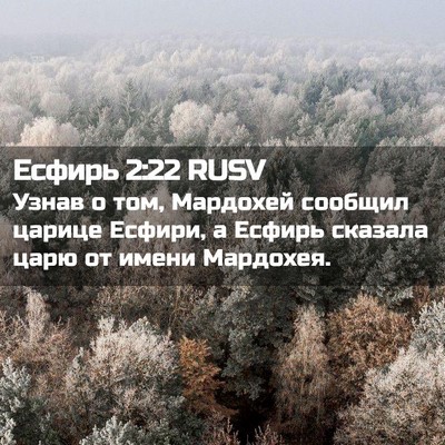 Picture 02 - Есфирь 2:22 RUSV - Узнав о том, Мардохей - Bible Verse Picture