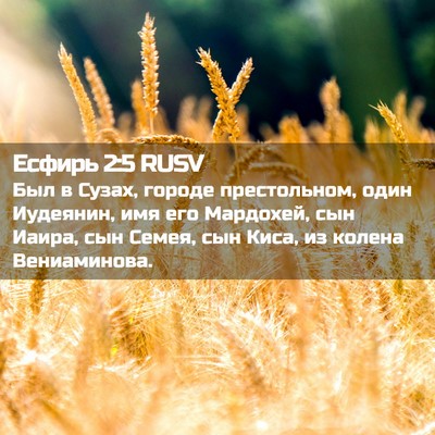 Picture 02 - Есфирь 2:5 RUSV - Был в Сузах, городе - Bible Verse Picture