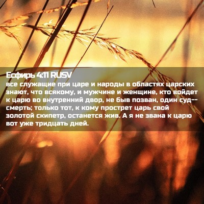 Picture 02 - Есфирь 4:11 RUSV - все служащие при царе и - Bible Verse Picture