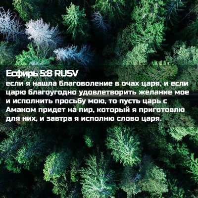 Picture 02 - Есфирь 5:8 RUSV - если я нашла благоволение - Bible Verse Picture